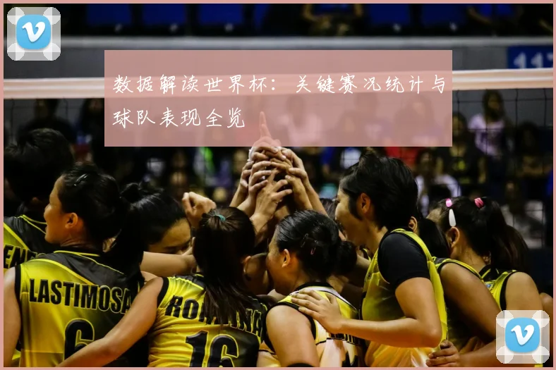 数据解读世界杯：关键赛况统计与球队表现全览