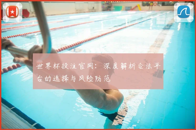 世界杯投注官网：深度解析合法平台的选择与风险防范